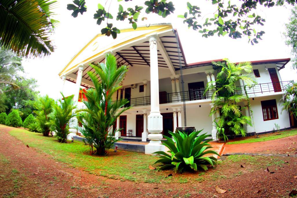 Sobaco Nature Resort Bentota Kültér fotó