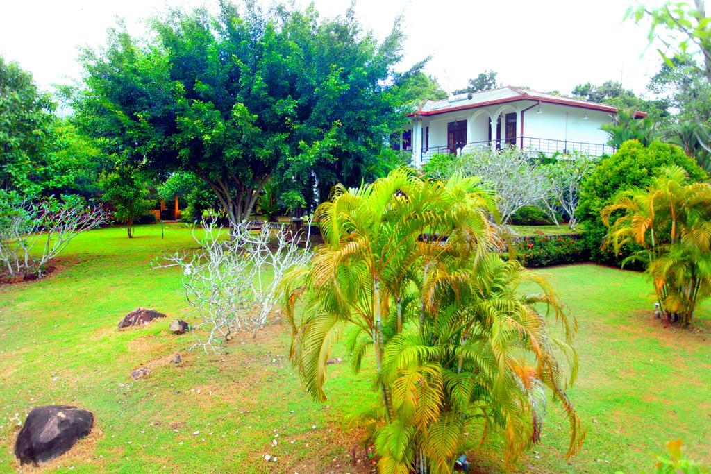 Sobaco Nature Resort Bentota Kültér fotó