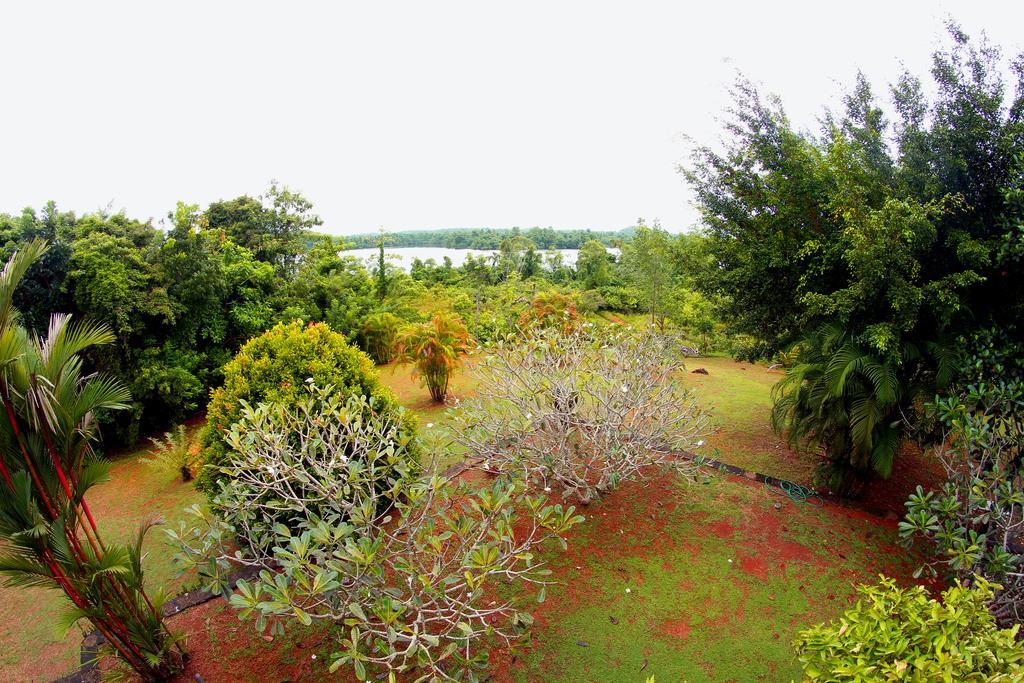 Sobaco Nature Resort Bentota Kültér fotó
