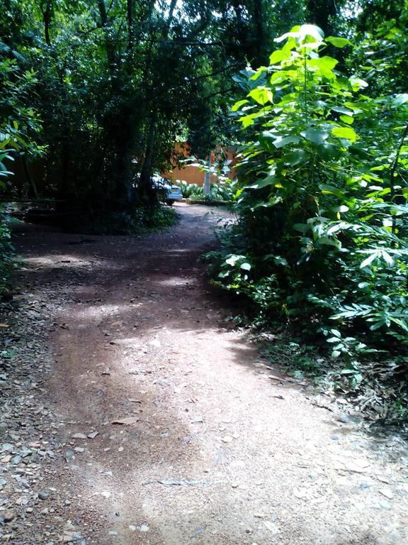 Sobaco Nature Resort Bentota Kültér fotó