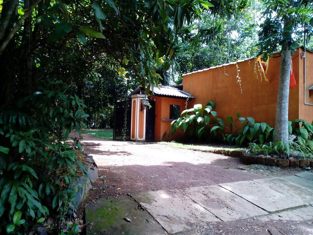 Sobaco Nature Resort Bentota Kültér fotó