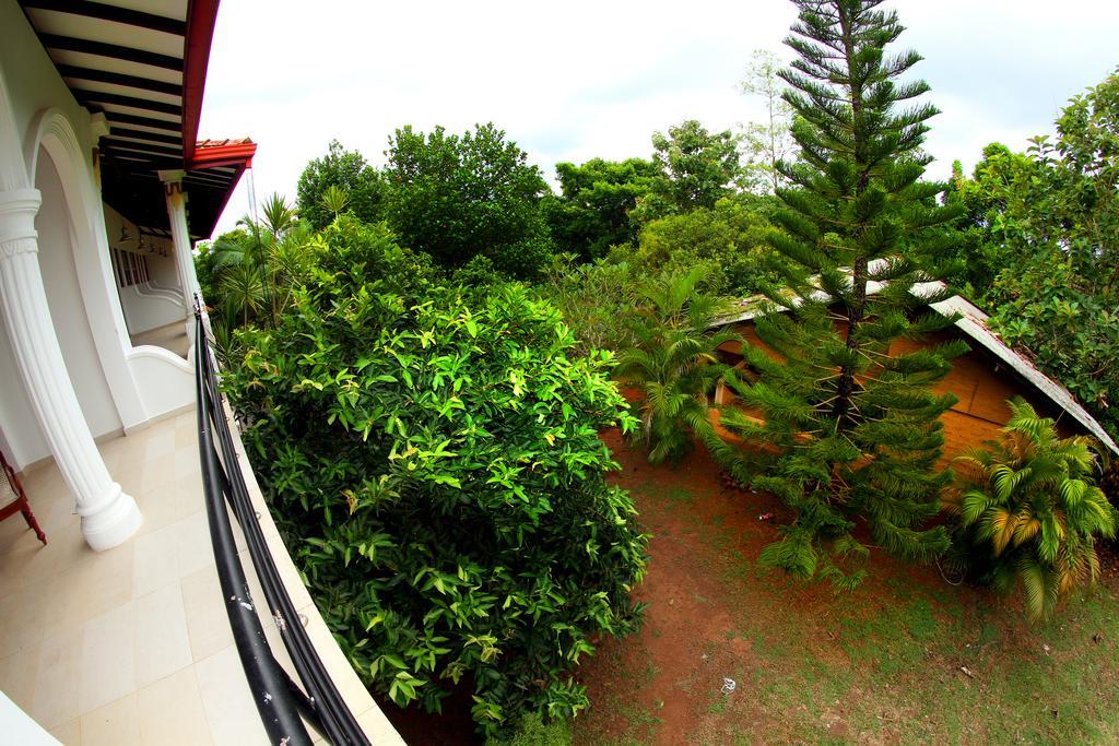 Sobaco Nature Resort Bentota Kültér fotó
