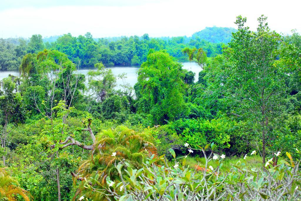 Sobaco Nature Resort Bentota Szoba fotó
